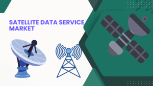 Satellite Data Service Market